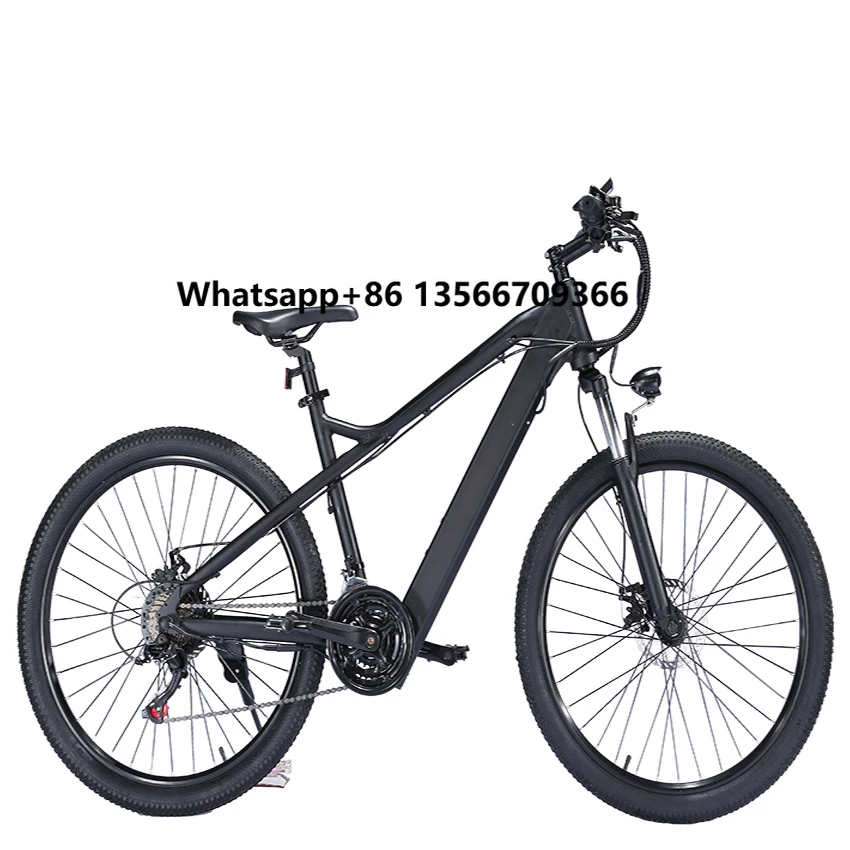 

2023 New Model 26 Inches Big Tire Electric City Cycle Bicycle Bike