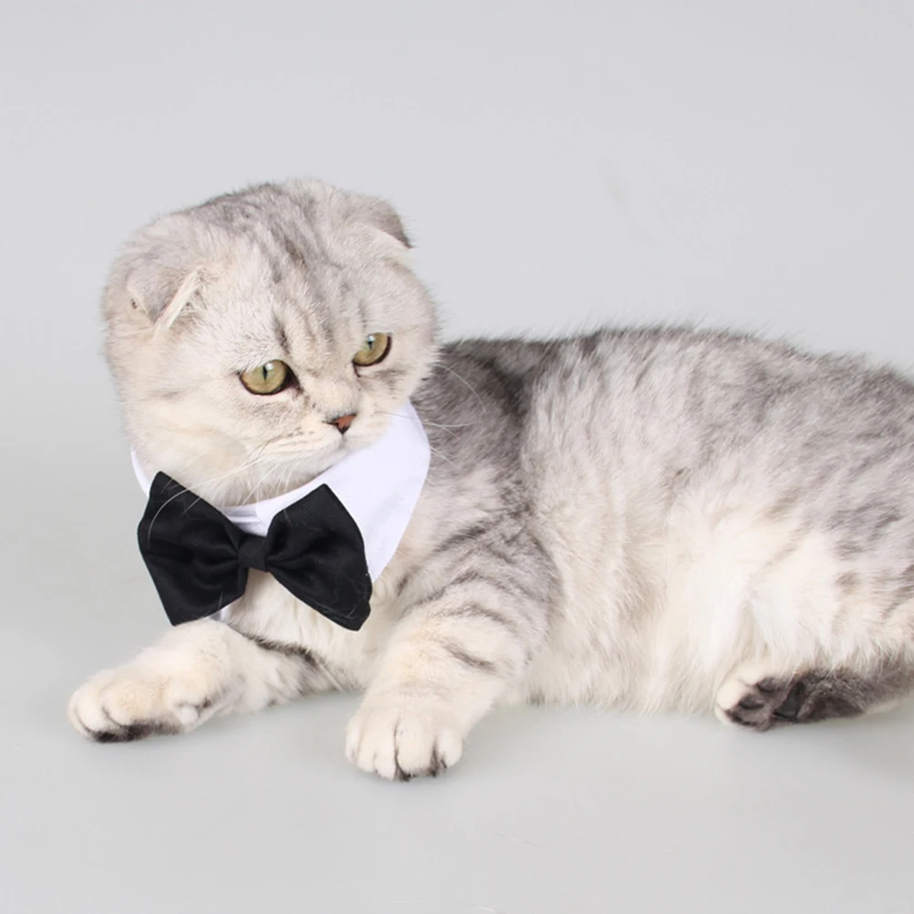 

Pet Bow Tie Dog Bow Tie Dog Neck Tie Dog Collar Pet Collar