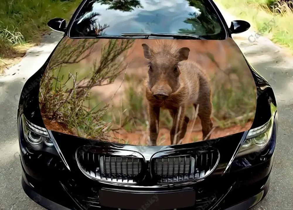 

wild boar animal Car hood sticker wrapped vinyl film hood decal sticker universal painting modification protective film decal