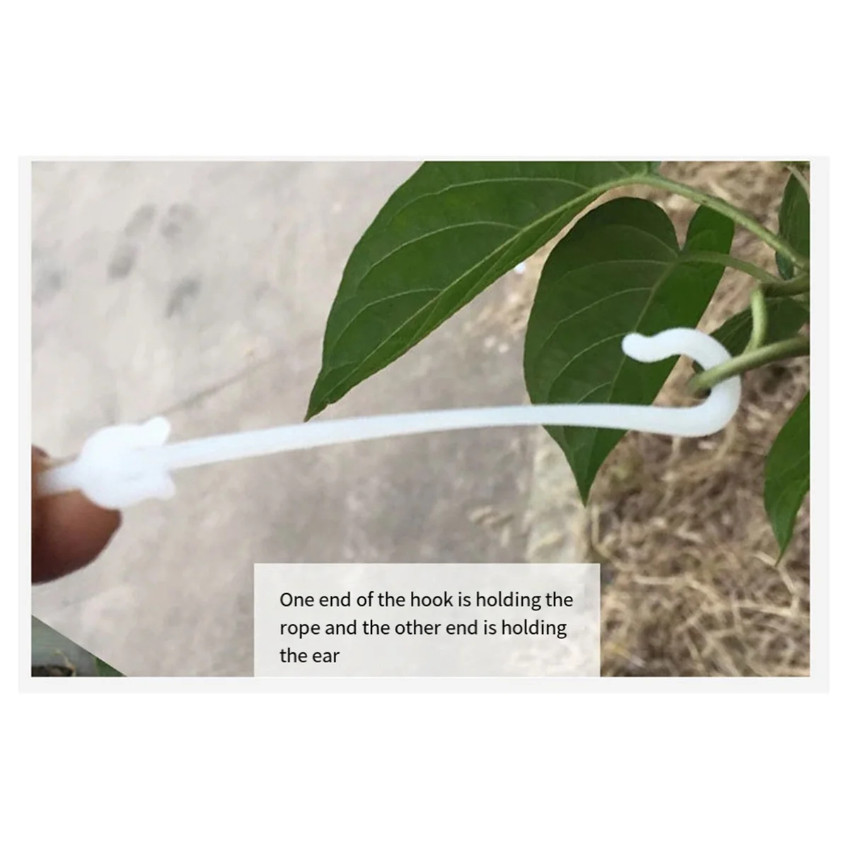 خطاف أذن الطماطم الكرزية AC22، خطاف توتر لدعم الأذن، خطاف تعليق الفاكهة #2