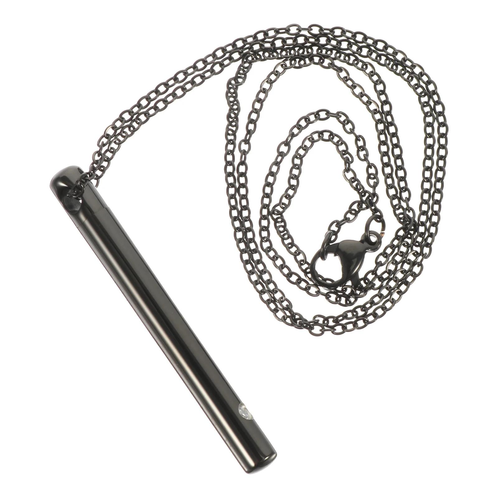 

Lightweight Stainless Ash Urn Pendant for Pet Ashes Pet Memorial Jewelry