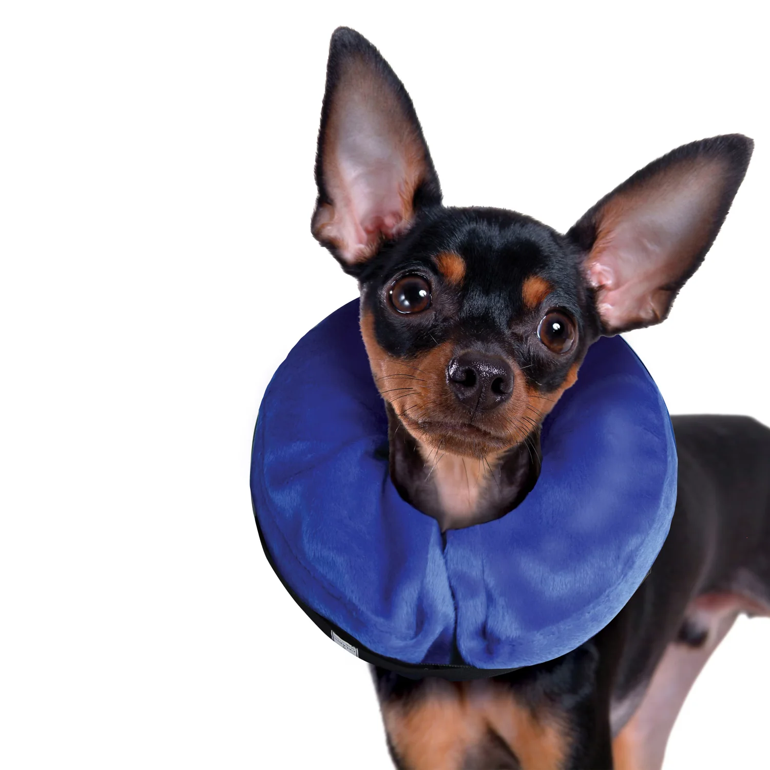 

Machine Washable Anti-bite Soft Inflatable Dog Collar