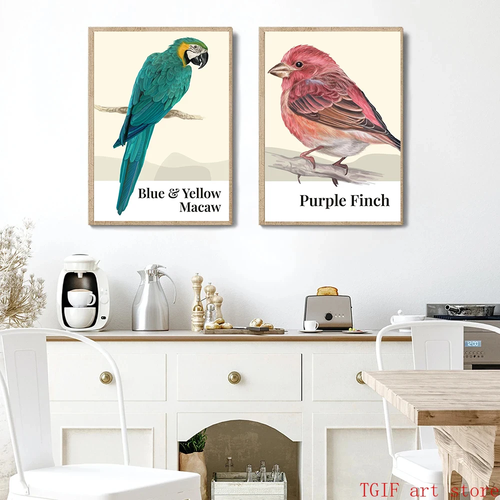 Vintage Cute Cockatoo Brown Pelican Goldfinch Toucan Birds Kind Poster Canvas Painting Wall Art for Living Room Home Decor