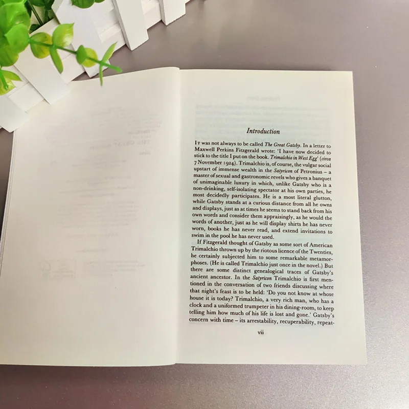 Der englische Roman „The Great Gatsby“ Der Great Gatsby Movie Tie In-Film Englisches Buch Libros Livros Financial Books