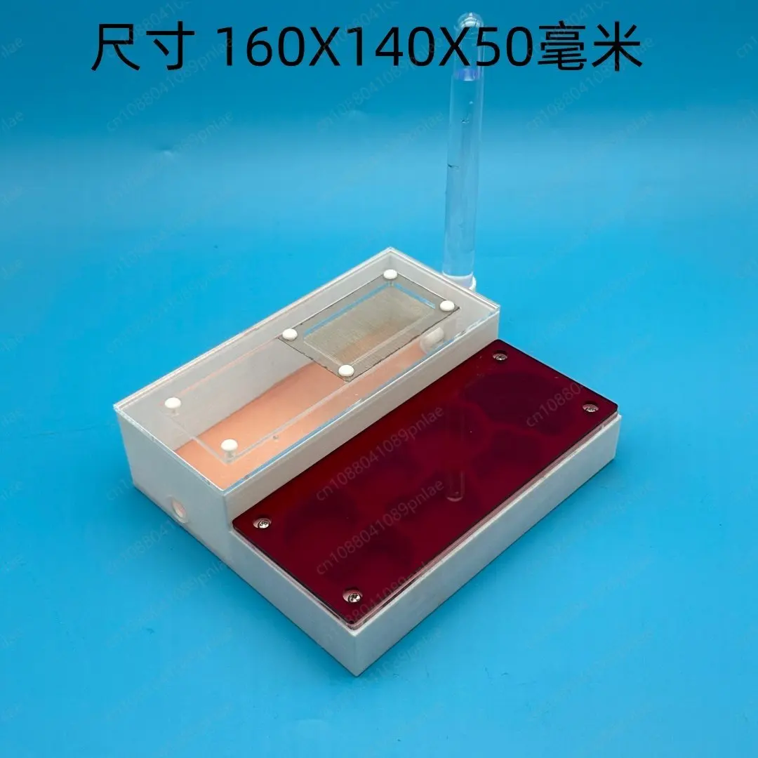 

Medium Flat Ant Nest, Deep Mountain Ants Are Suitable for Small Ant Pets Acrylic Ant Nest Bow Back