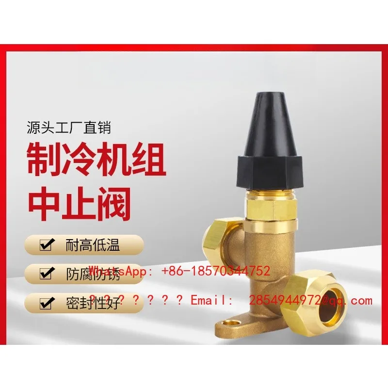 All-copper Check Valve Refrigeration Parts Air Conditioning Maintenance Globe Valve Direct