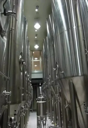 Fully Automatic Home and Brewery Factory Wine Beer Making Machine Brewing Equipment
