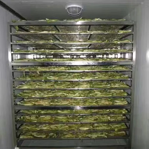 

Гарантированное качество, машина для сушки овощей и фруктов/машина для обезвоживания/промышленные обезвоживатели пищевых продуктов