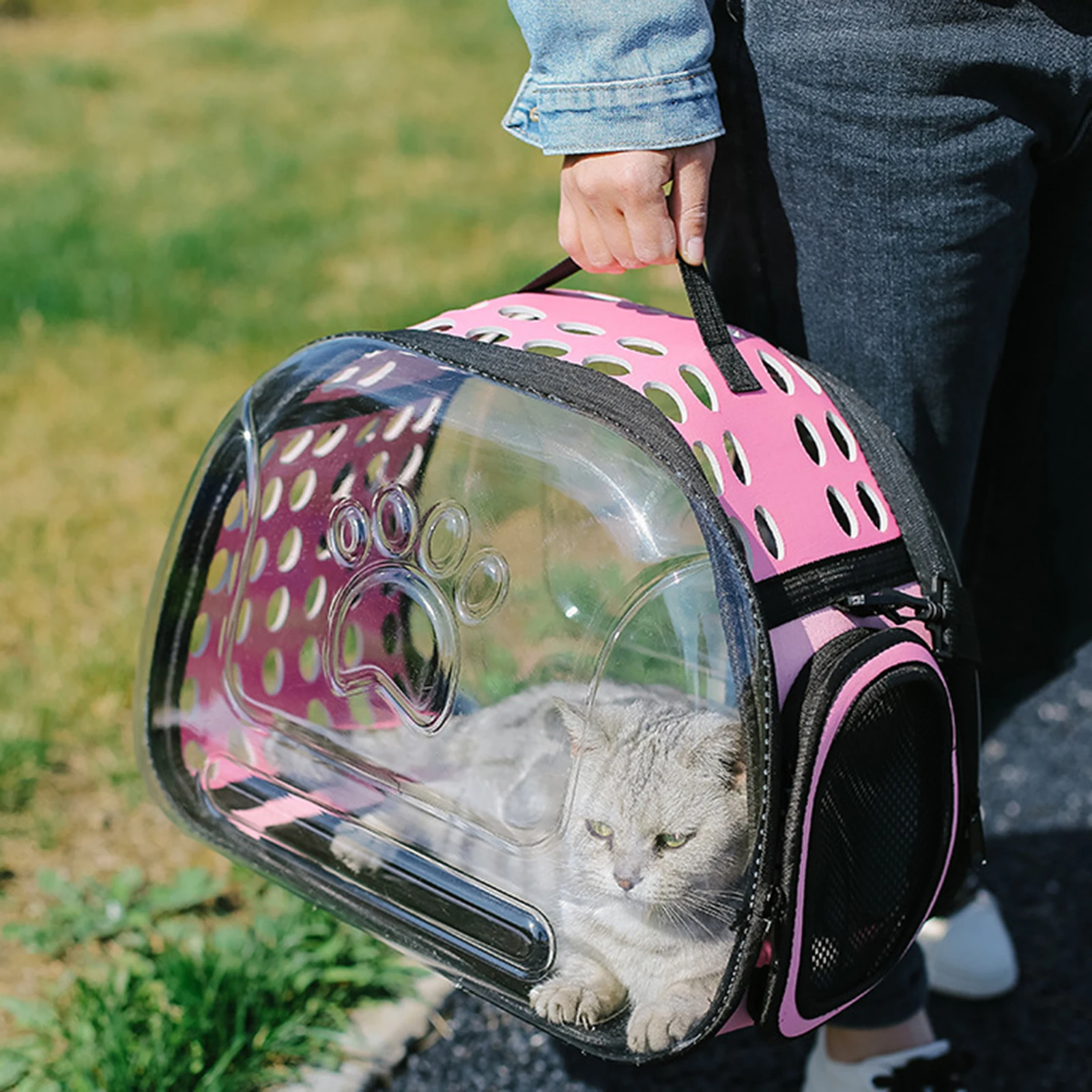 Doorzichtige Cat Carrier Opvouwbare Outdoor Pet Draagtas Voor Honden Cat Crossbody Ademende Opvouwbare Reis Kat Draagtas