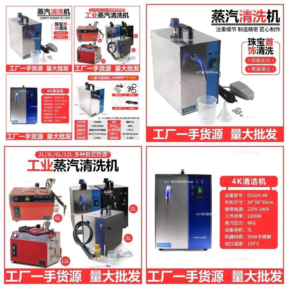 Stainless Steel Jewelry Steam Cleaner for Silver and Gold, 1300W 2L