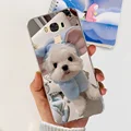 case-762