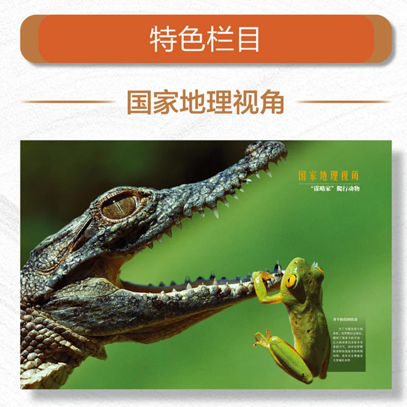 National Geographic Encyclopedia of Zoology, Children's Science Popularization, Fish, Crawler, Amphibian, Invertebrate