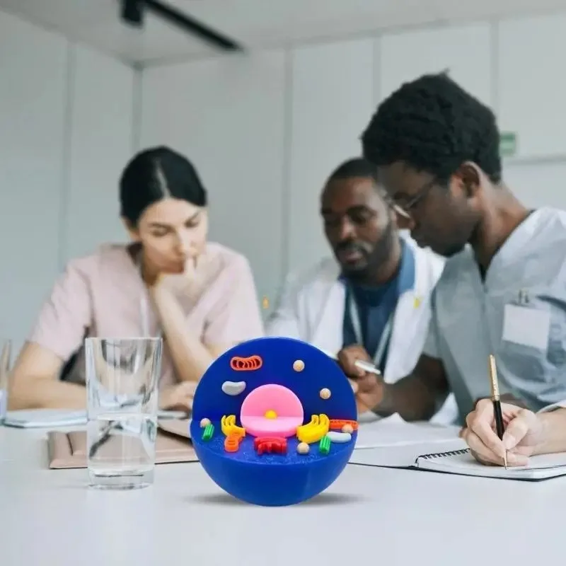 

3D Printed Animal & Plant Cell Model Science Experiment Set Intellectual Development Educational Learning Toy for Students