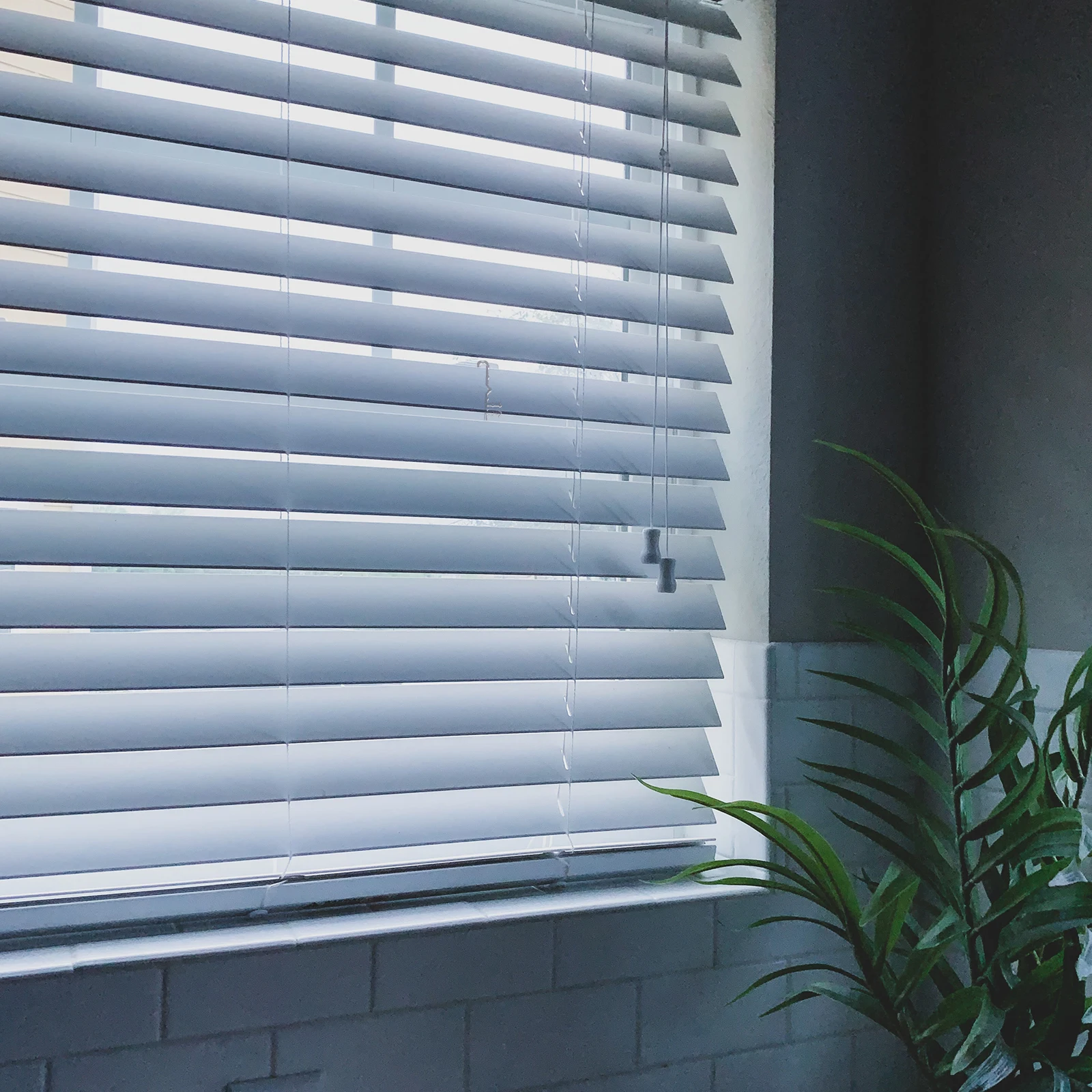 

8Pcs Valance Clips Plastic Sturdy Replacement Blind Curtain Retainer Holder Accessories for Window Blinds Valance Clip