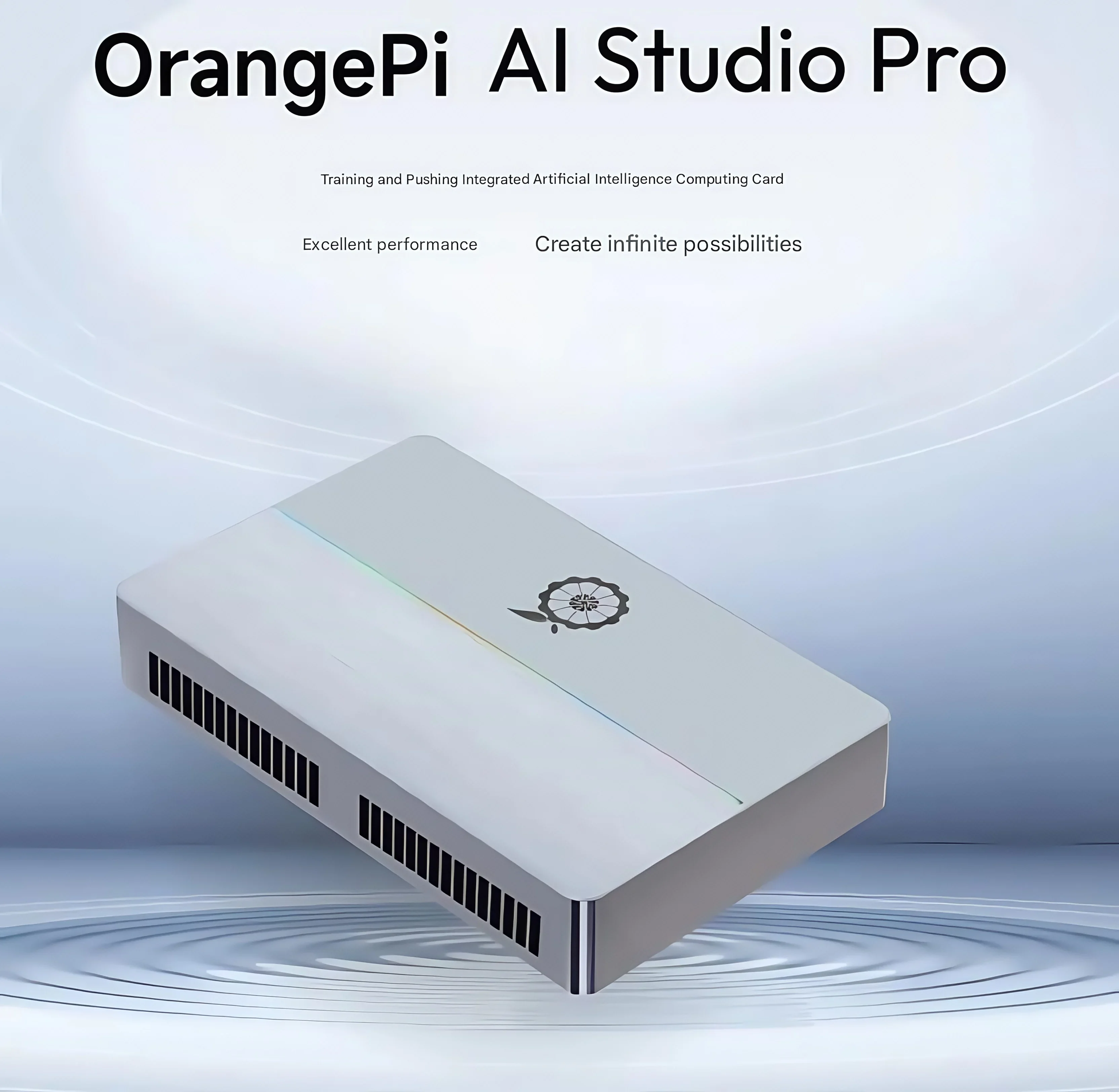 Orange Pi AI Studio Pro Computing Power Ascend Development Board 352TOPS Computing OCR