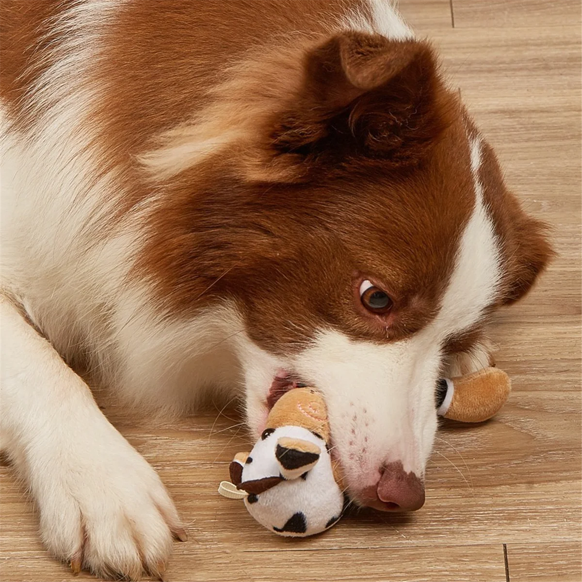 B Pet Chew Toy Puppy Molar Animal Shape Odporna na gryzienie zabawka Pluszowa zabawka do szkolenia psów, materiały dla małego średniego dużego psa