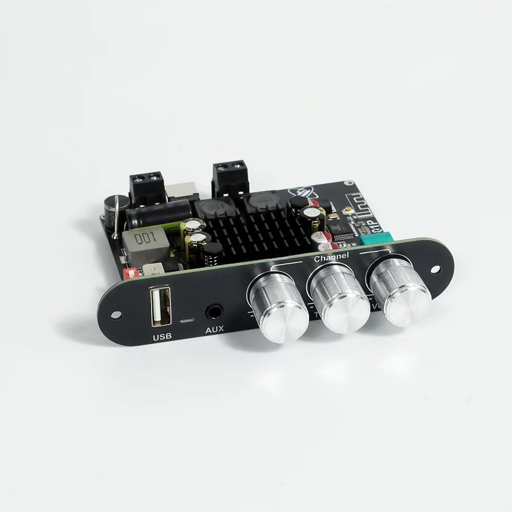 T1001P Mono 100W BT Audio Power Amplifier High Bass Adjustment TWS Box True Wireless TPA3116