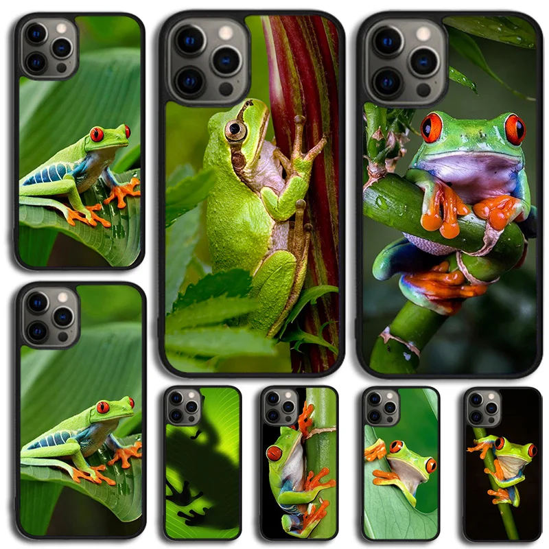 quirky frog at leaf Phone Case For Samsung Galaxy S10 S22 S23 S24 Note 10 20 Lite S20 Plus S21 Ultra Back Cover