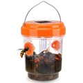 Orange-1PC