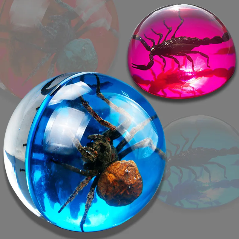 creative real insect specimens transparent resin hemispherical ornaments crafts big spider scorpion specimens