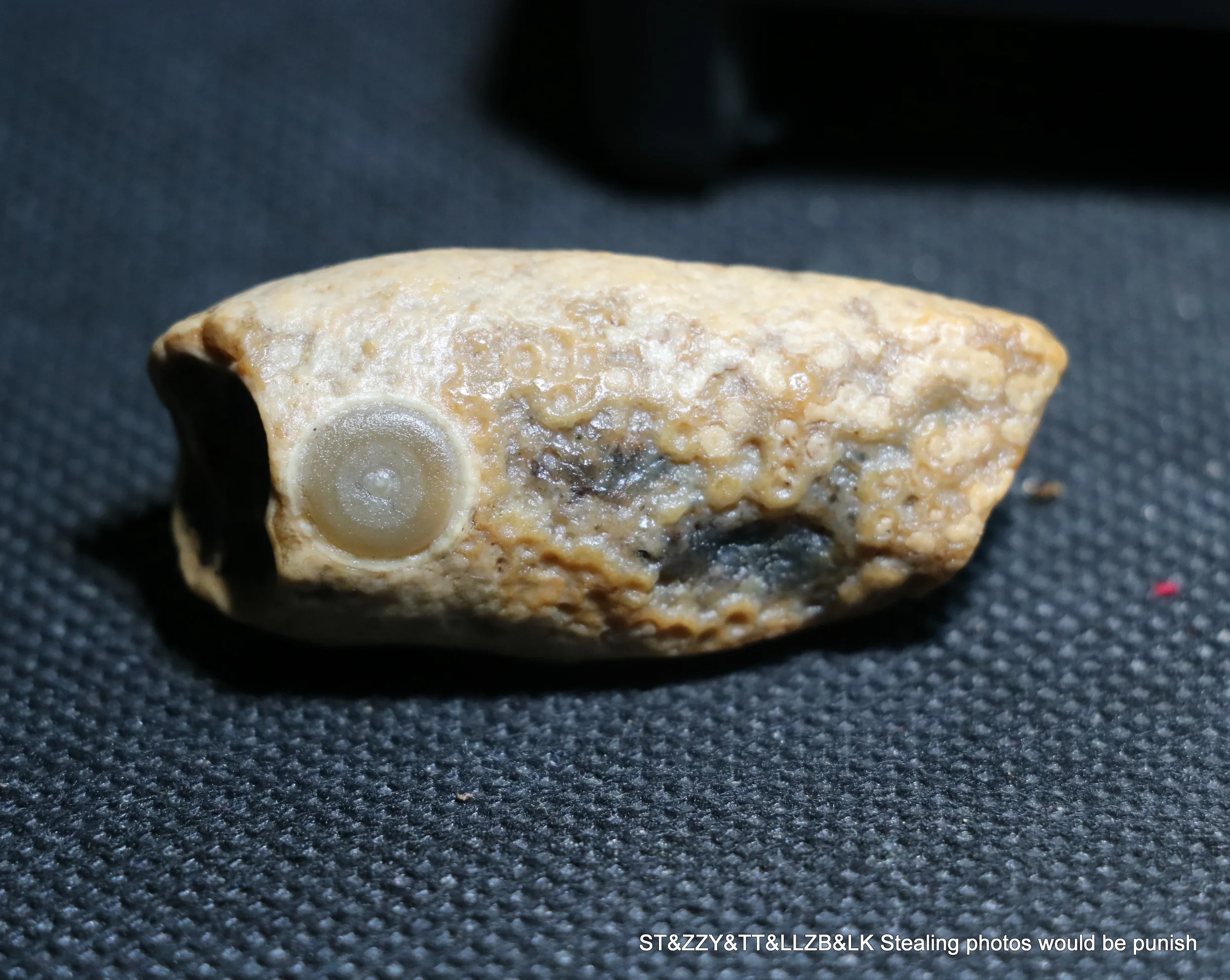 A Big Treasure Energy Chinese Desert Alashan Gobi Agate Natural Eyes Lucky Pebble Cool Appearance Display Amulet UPD0522P66