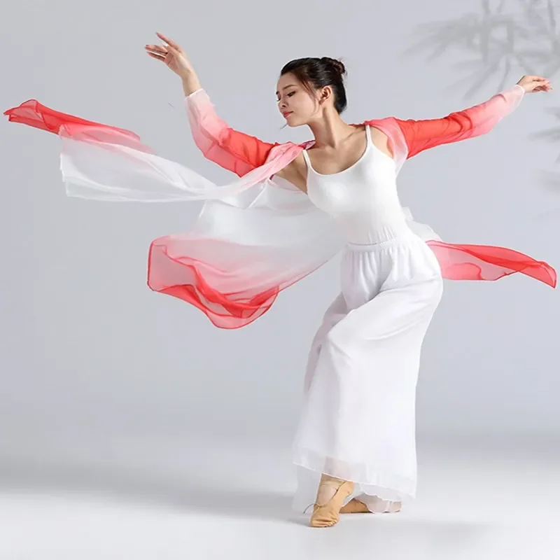 Women Classical Dance Long Dress Flowy Loose Shirt Chiffon Harem Pants Dancer Practice Wear Chinese Folk Dancewear Gradient