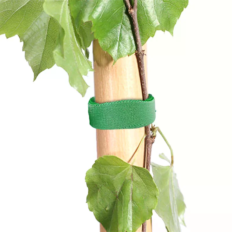 1/3/5M Nylon Plant Bandage Tie Reusable Hook Loop Fastener Tape Bamboo Cane Wrap Support Home Garden Accessorie