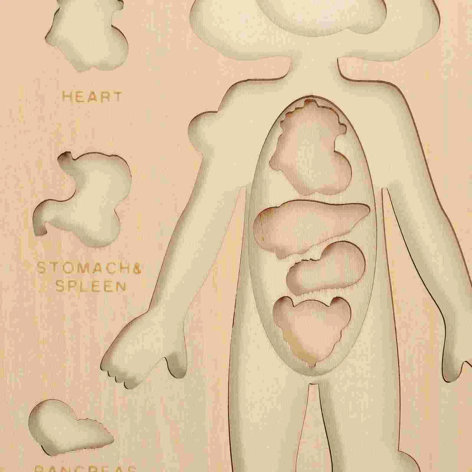 Structuur van het menselijk lichaam Puzzel Educatief speelgoed Houten kinderorganen Leren puzzel