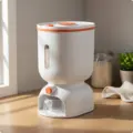 Orange-L