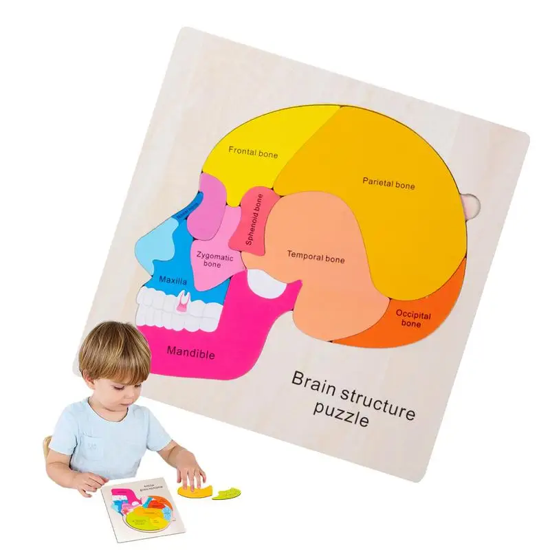 

Anatomy For Kids Wooden Multi Layer Human Body Cognitive Puzzle Toys Educational Science Learning Supplies For Early Development