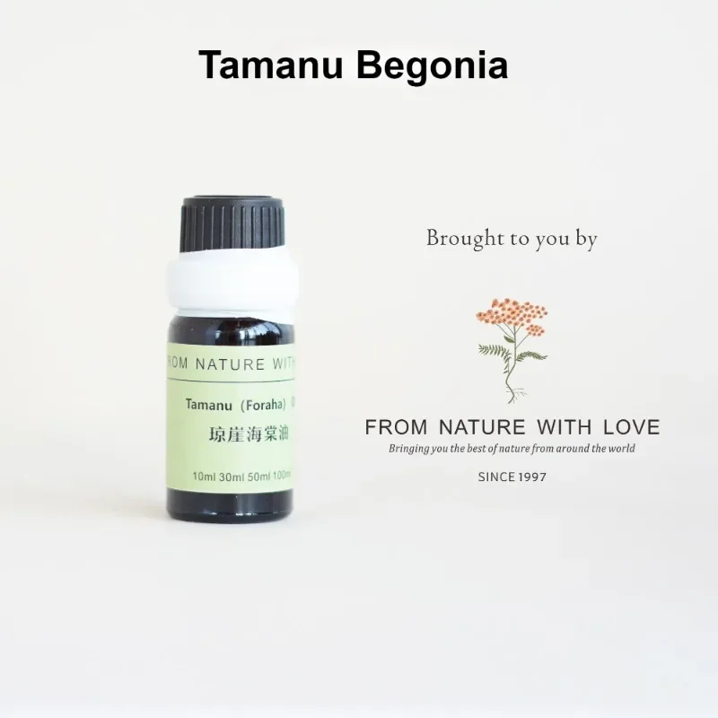 

FNWL Tamanu Begonia Oil Восстанавливает и восстанавливает выцветает принты фасоли, снимает уход за проблемной кожей, выцветает растяжки