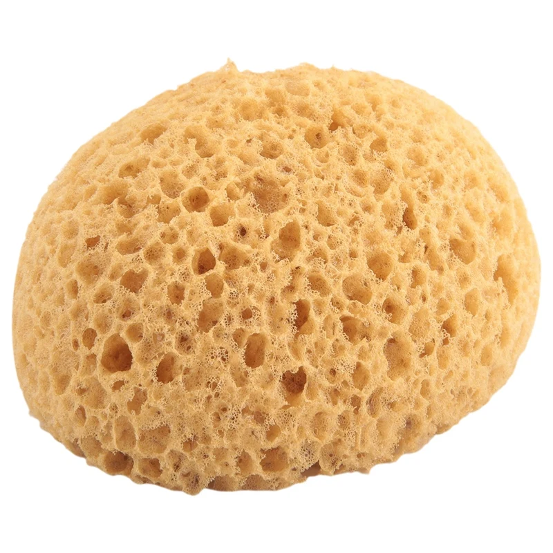 

Wall Repair 4Pcs Texture Sponge Drywall Texture Sponge Texture Patch Sponge for Texture Repair