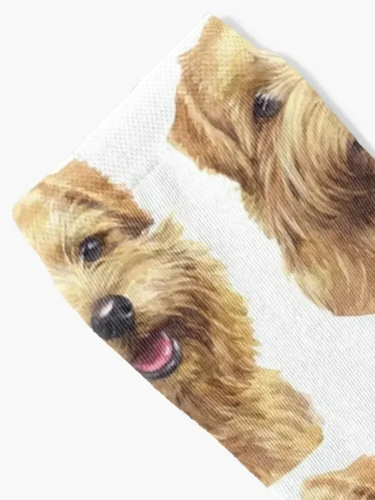 Norfolk Terrier Watercolor Art Socks winter christmas stocking floral moving stockings Ladies Socks Men's