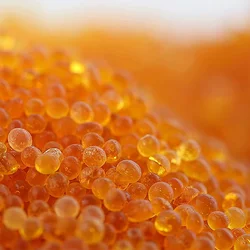 500g Colors-Change Reusable Christmas 3DPrinters Machine Desiccant Silica Gel Packs Moisture Absorber Desiccant Deshumidificador