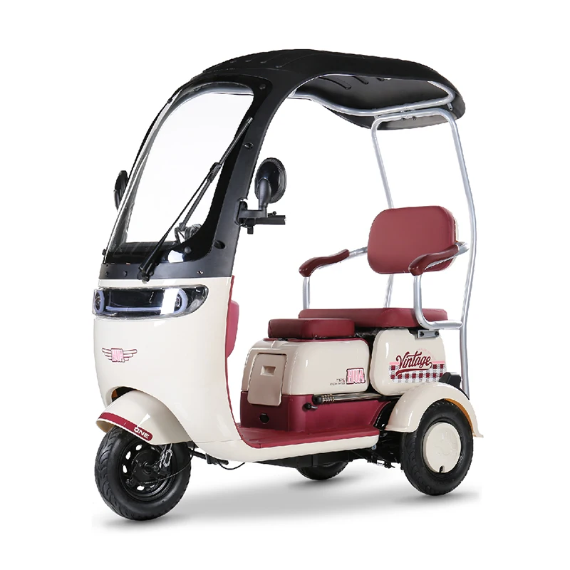 3 Wheels 1000W Electric Scooter Electric Tricycle Small Mobility Scooters Electric Ebike For Adults