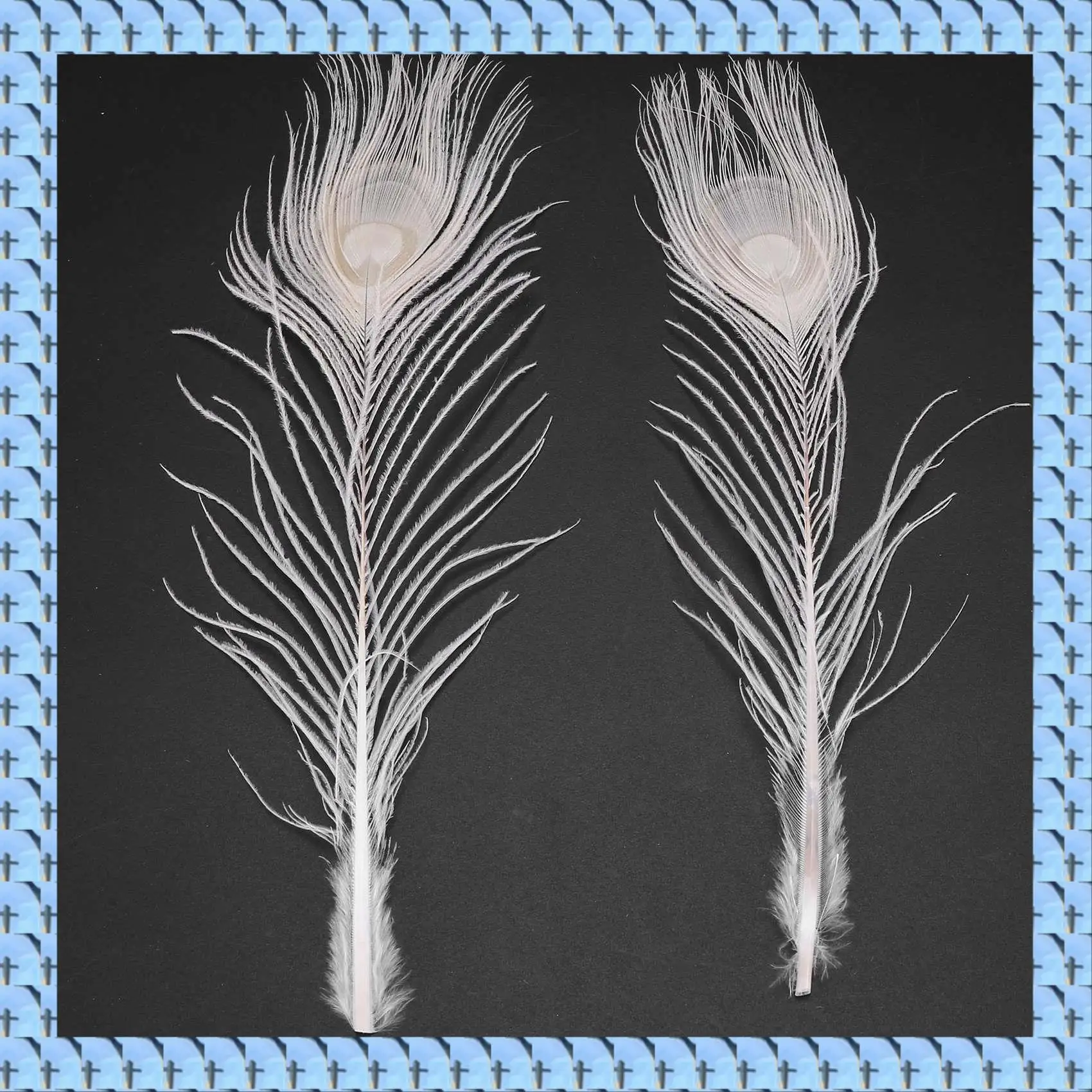 

NOCM 150 шт./натуральные белые перья павлина в глазах, от 10 до 12 дюймов свадебное украшение из павлиньих перьев