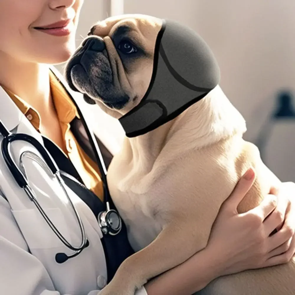 Geräuschreduzierende Hundeohrenschützer Gehörschutz Anti-Lärm Beruhigende Hunde-Ohrenschützer Wasserdicht Verstellbare Haustier-Ohrenschützer – Detail 4