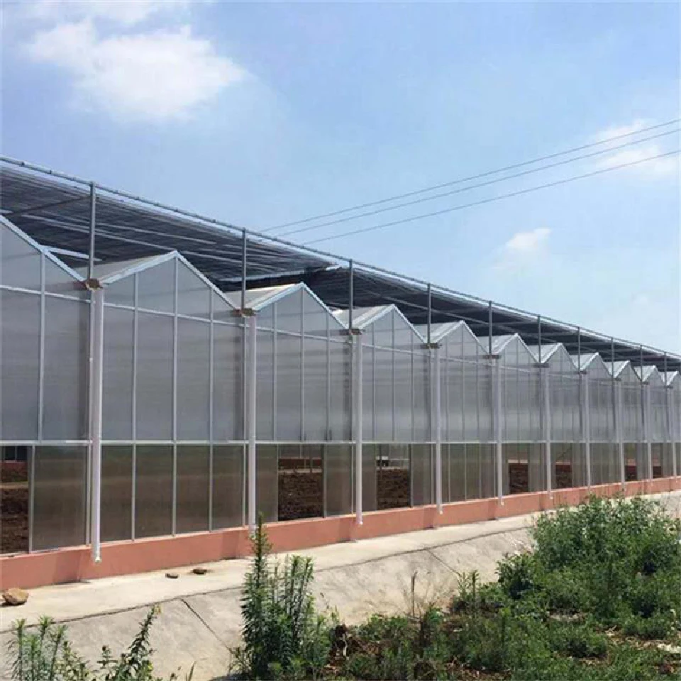 

Customized greenhouseYutuo PC Greenhouse for Flower and Vegetable Cultivation Smart Steel Frame Polycarbonate Sheet Muti Span Gr