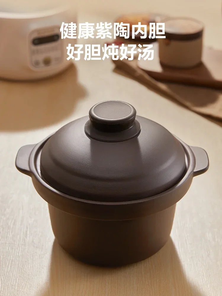 220V Multifunctional Electric Stewpot for Home Use and Health Care with Bird's Nest Mini Electric Stewpot