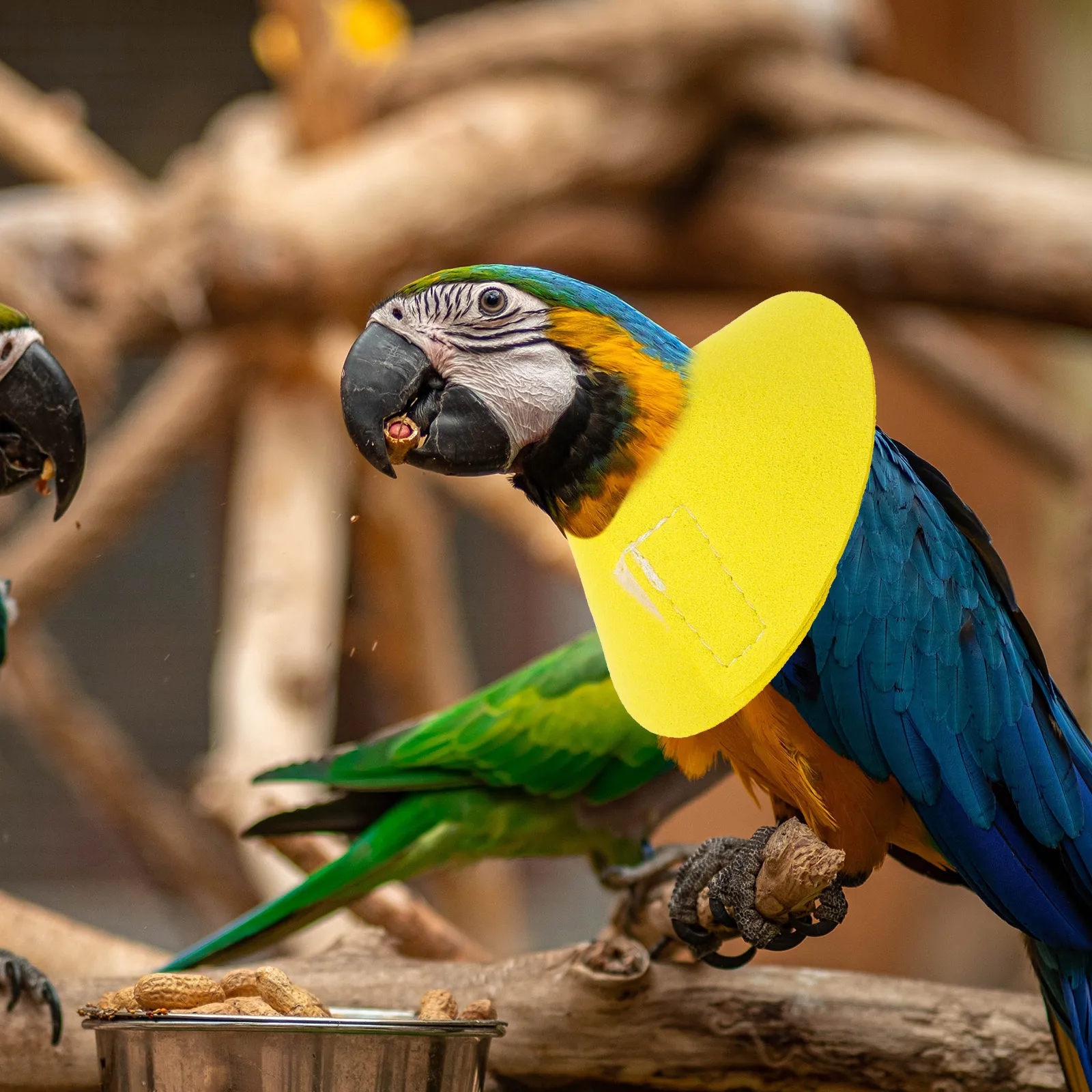 

Anti-biting Collar for Birds Parrot Neck Band XS Yellow Prevents Pecking Wounds Promotes Healing Washable Safe Durable Bird