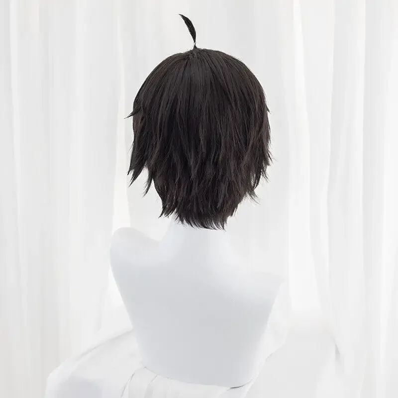 Honkai-Perruque Cosplay Noire Courte pour Homme, Perruques Synthétiques, Star Rail, Dan Heng, 30cm