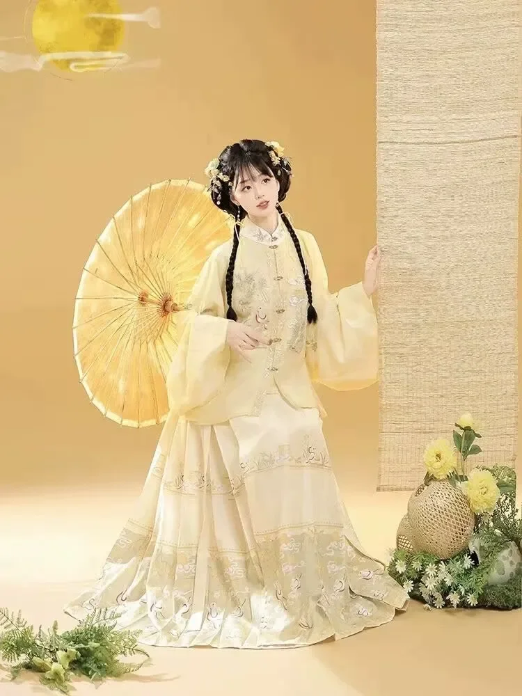 

Ancient Ming Dynasty Embroidered Hanfu Horse-faced Skirt 140kg Women Large Size 10XL Chinese Hanfu Dress Women Cosplay Costume