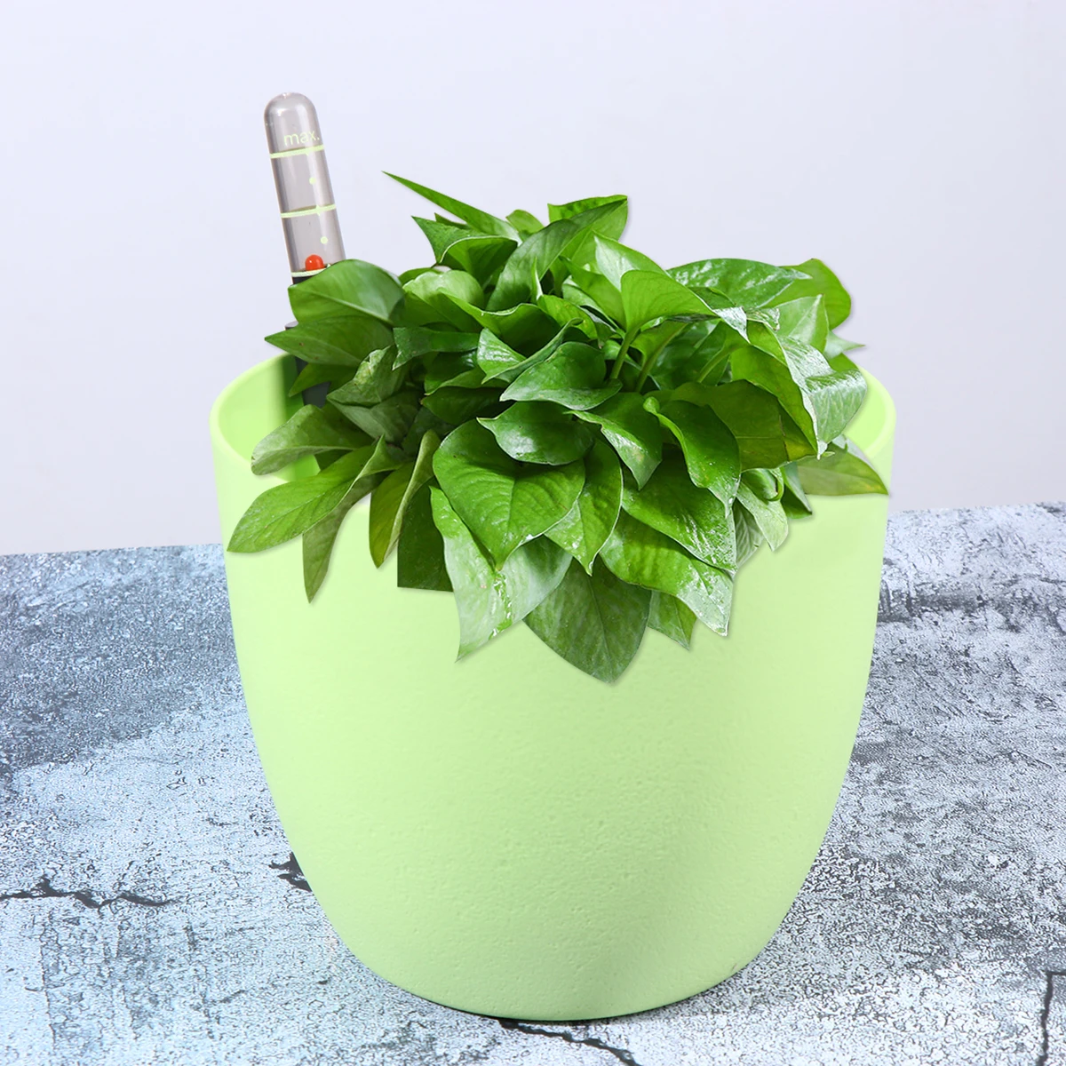 

Pot Automatic Water Absorbent Flower Plant Pots Indoor Absorption Desktop Green