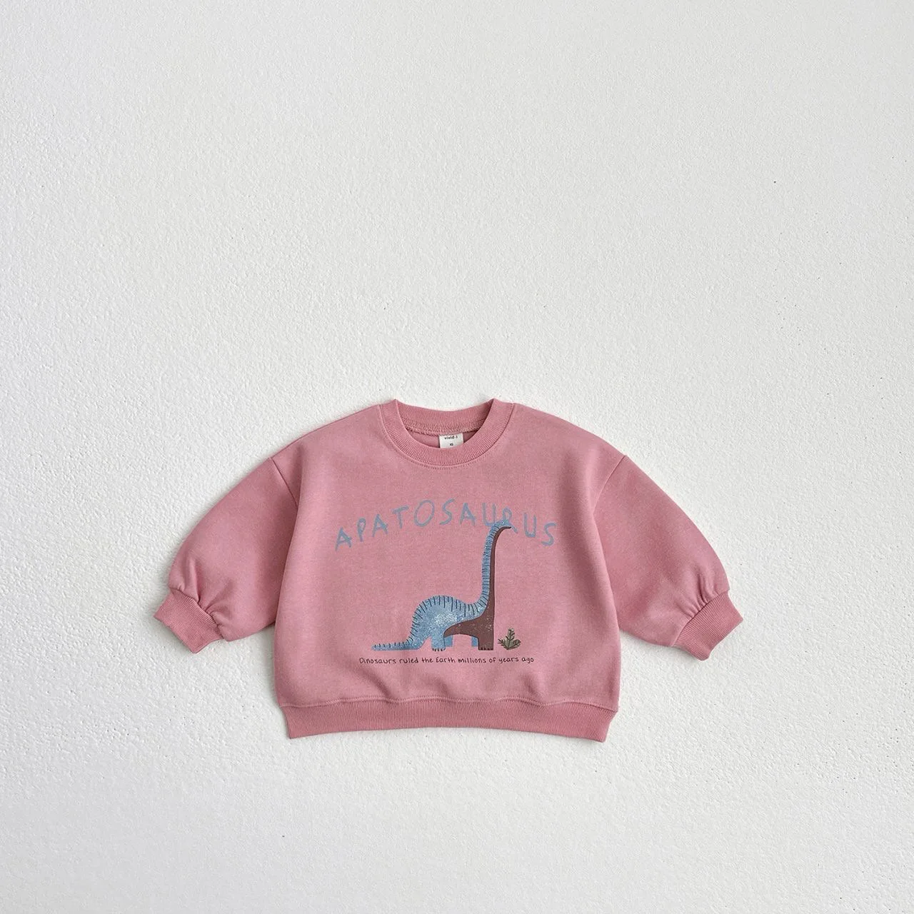 2024 Autumn New Children Cartoon Sweatshirt Cute Dinosaur Print Baby Loose Pullover Boys Girls Cotton Long Sleeve Sweatshirt