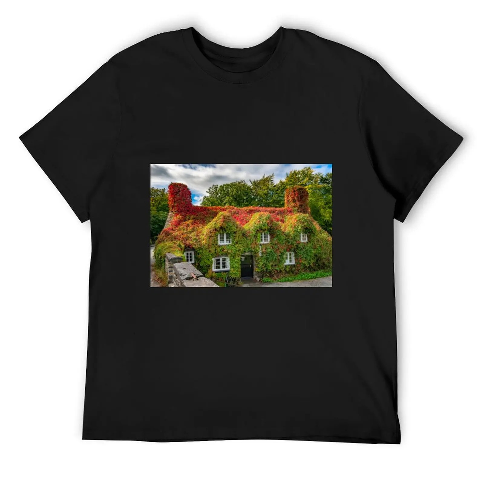 Autumn Tea House Llanrwst Wales T-Shirt quick drying sublime blanks mens clothing