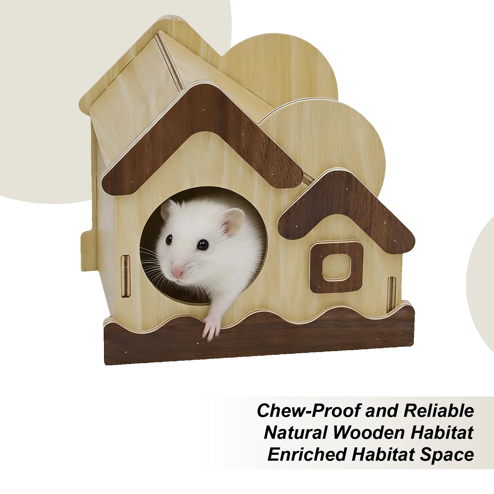 Hamster House Funny…