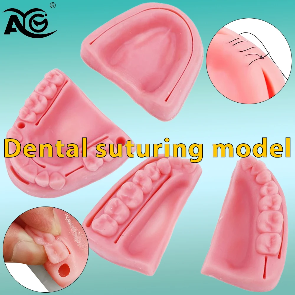 

Медицинский тренажер для наложения швов на кожу и десны AG Dental: силиконовая модель для практики наложения швов при пародонтите, набор для обучения