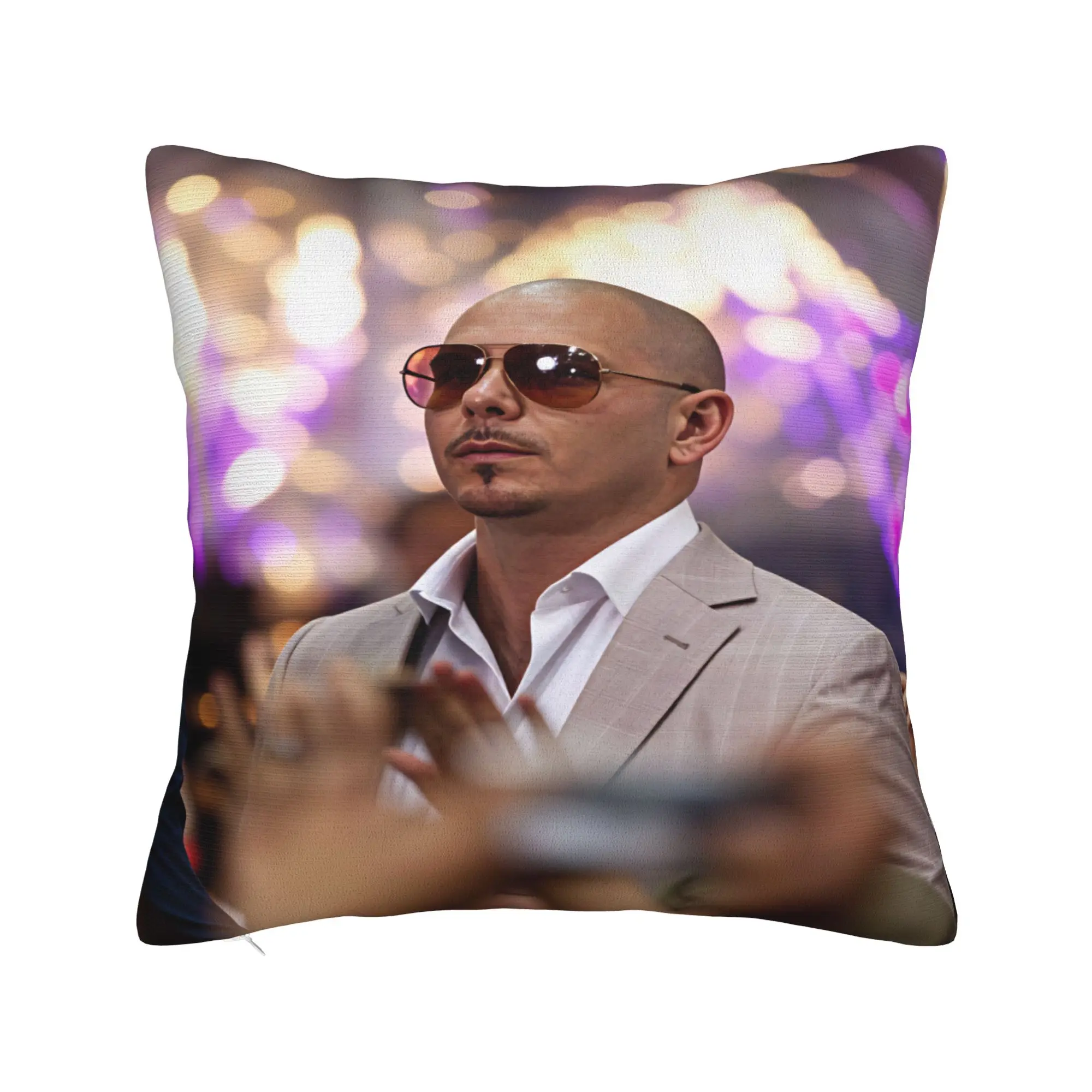 Pitbull Mr Worldwide Tour Pillow Case  Soft Pillow Cover For Chair Sofa Home Decor Morden Pillowcases