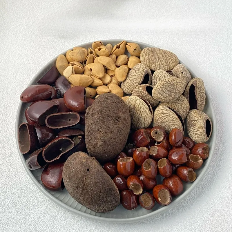 

DIY Fruit Shell Bell Material, Hand Cranked Bell Material, Music Therapy Instrument Pendant (10 Pcs /copy)