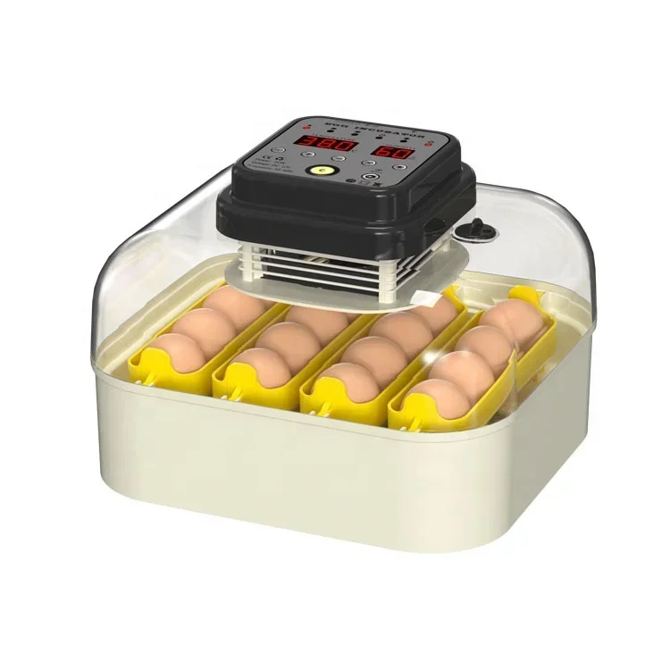 New arrive full automatic 16 chicken eggs mini solar egg incubator for family use-11